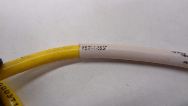NEW TURCK KB 3T-1-SB 3T MICROFAST MOLDED CORDSET U2425-28 - Image 4