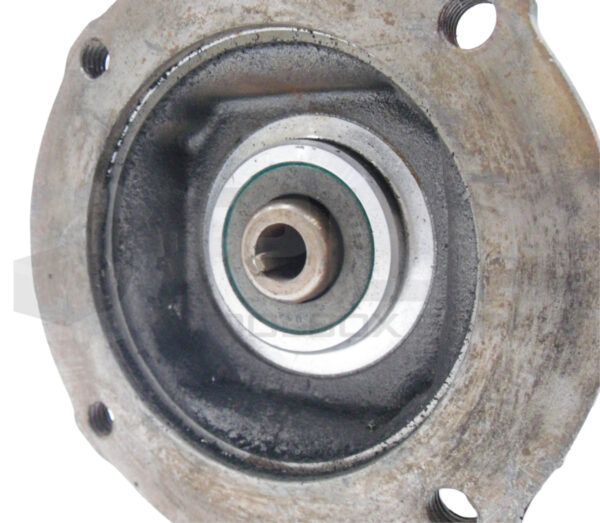 DODGE TIGEAR MR94761L1 1.39HP 1750RPM, SIZE RATIO: Q200B015M056L - Image 5