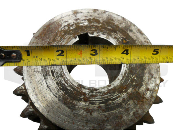 60 21H DOUBLE ROW SPROCKET 1-3/4" BORE 21 TEETH - Image 3