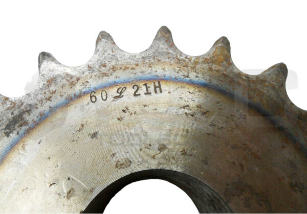 60 21H DOUBLE ROW SPROCKET 1-3/4" BORE 21 TEETH - Image 4